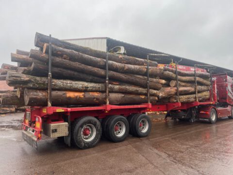 Camion de 50 stères, Hêtre-Chêne-Charme-Orme-Frêne-Peuplier en grume